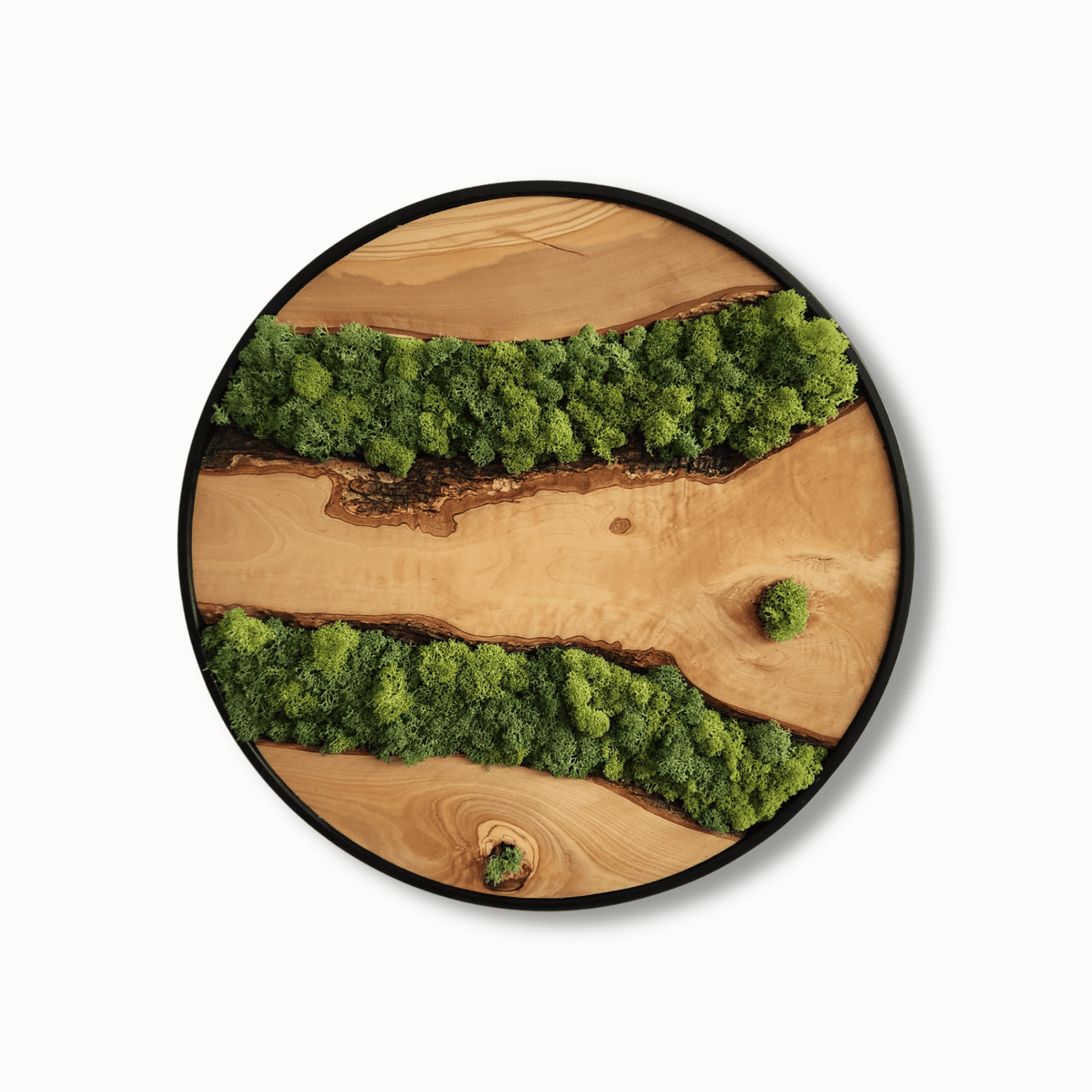 Moss Lines