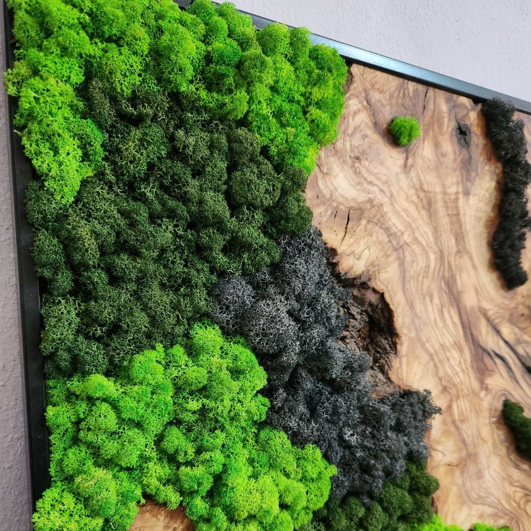 Velvet Terrain
