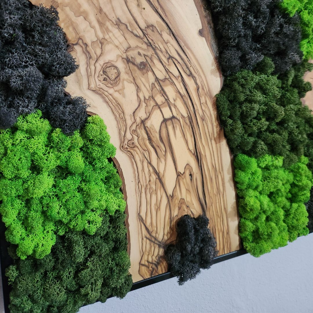 Velvet Terrain