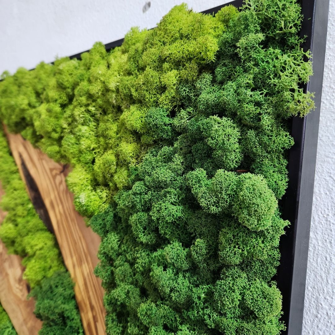 Forest Symphony