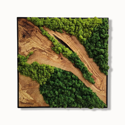 Forest Symphony