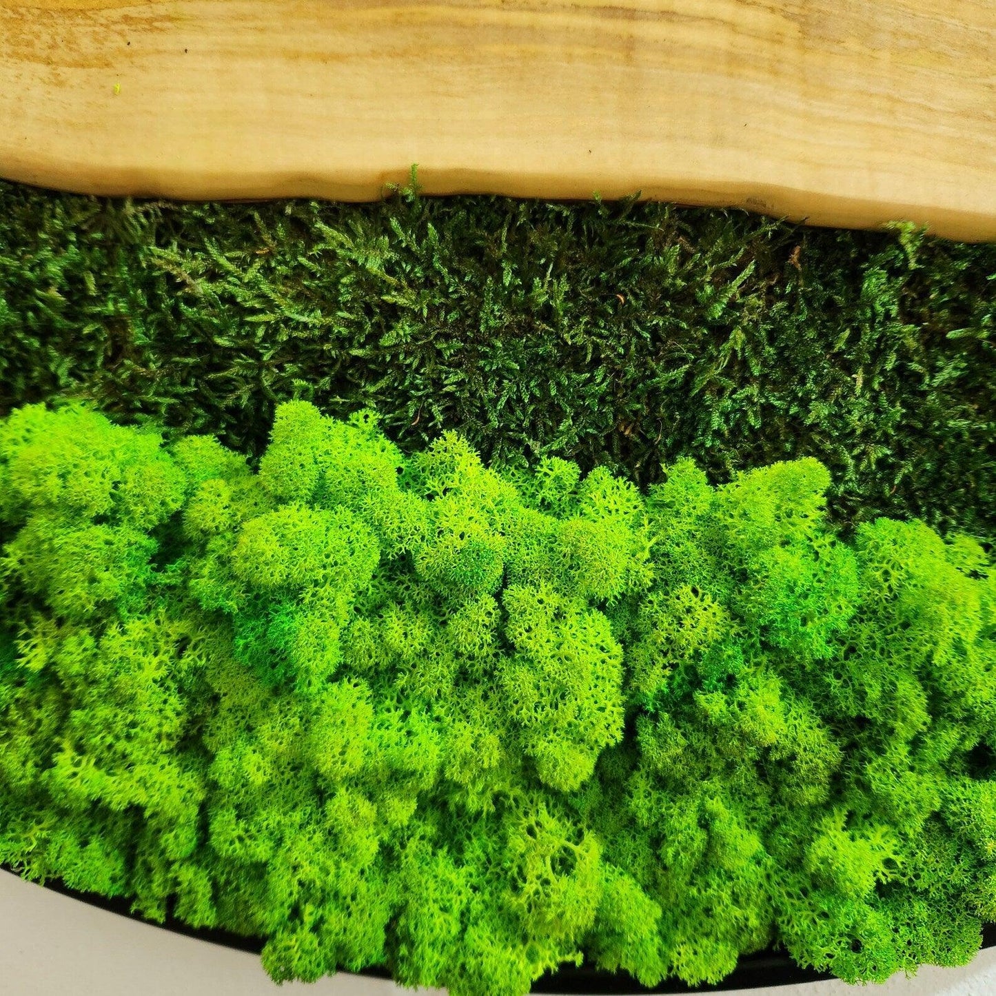 Organic Moss Oasis | Premium Handmade Wall Clocks