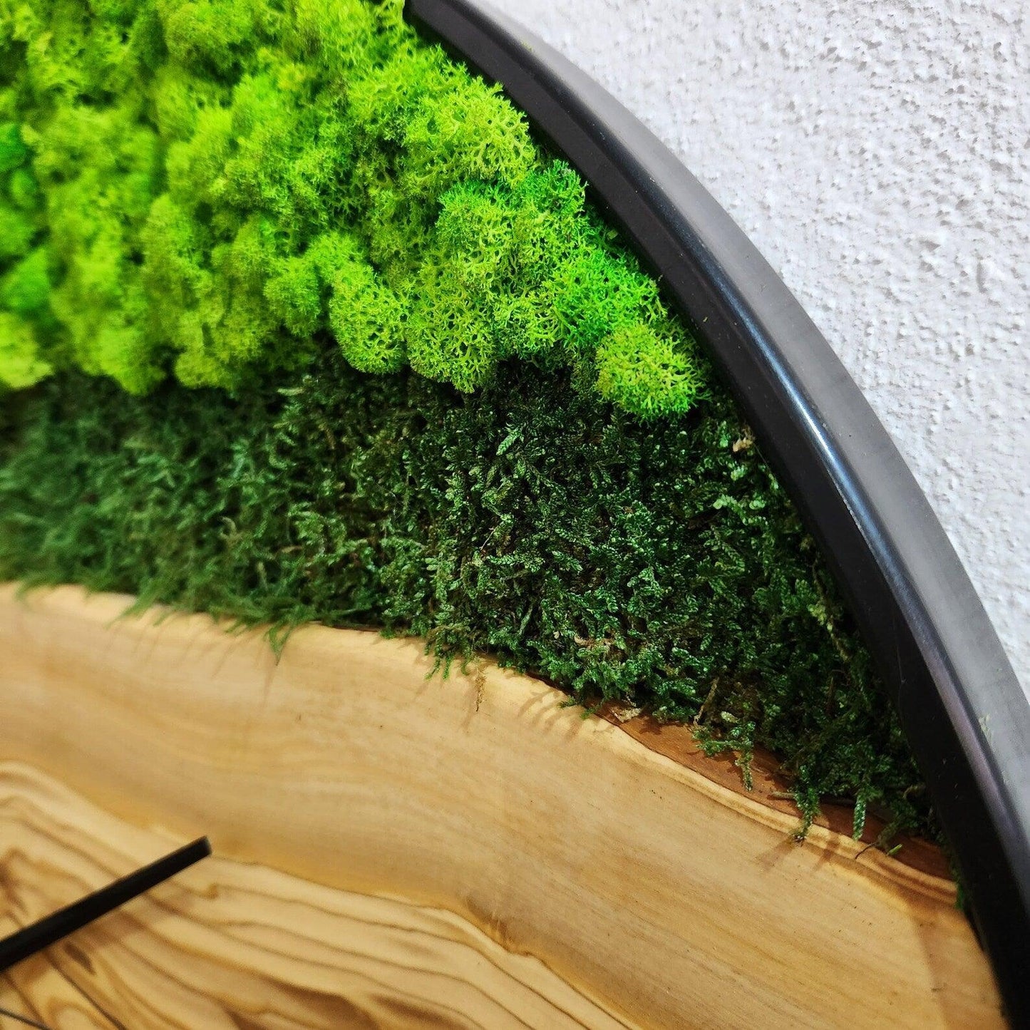 Organic Moss Oasis | Premium Handmade Wall Clocks