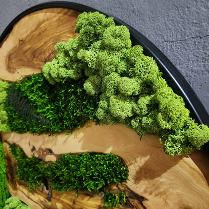 Moss and Olive Wood Wall Art, Custom Made Metal Frame Moss Wall Decor, Olive Wood and Moss Wall Art- Preserved Stabilized Moss Wall Decor