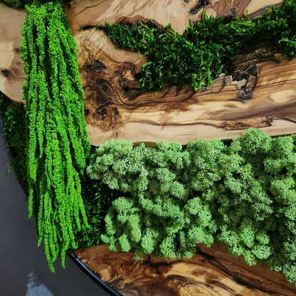 Moss and Olive Wood Wall Art, Custom Made Metal Frame Moss Wall Decor, Olive Wood and Moss Wall Art- Preserved Stabilized Moss Wall Decor