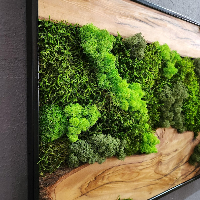 Moss & Wood Wall Art, Unique Custom Made Olive Wood And Moss Wall Decor, Rustic Greenery Decor, Hotel Lobby Wall Art Decor, Home Wall Decor