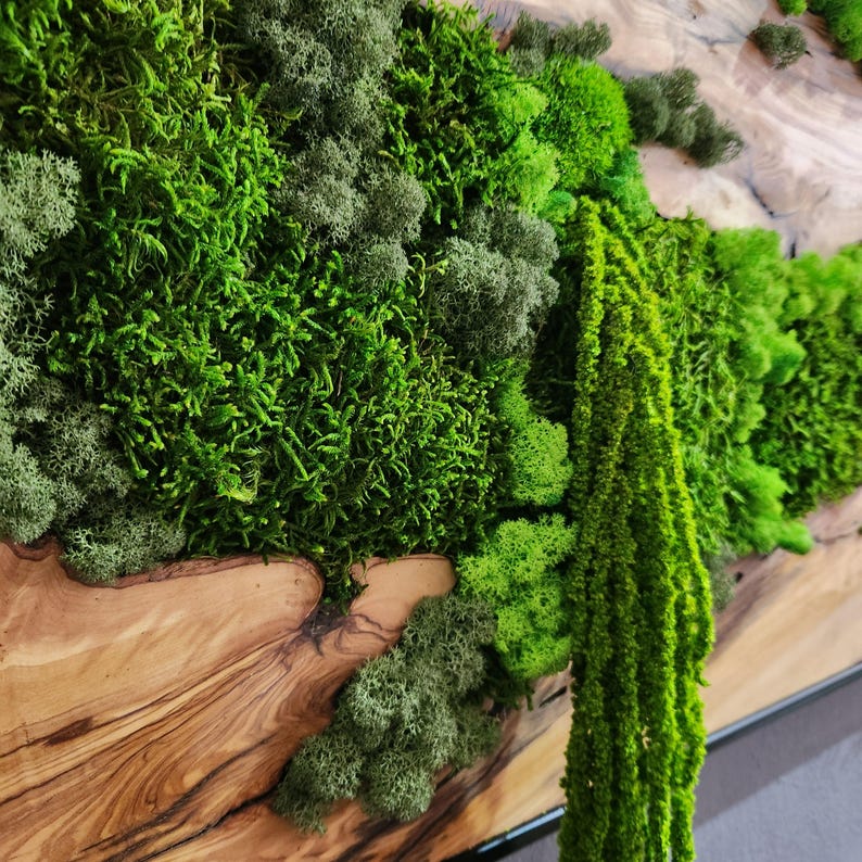 Moss & Wood Wall Art, Unique Custom Made Olive Wood And Moss Wall Decor, Rustic Greenery Decor, Hotel Lobby Wall Art Decor, Home Wall Decor