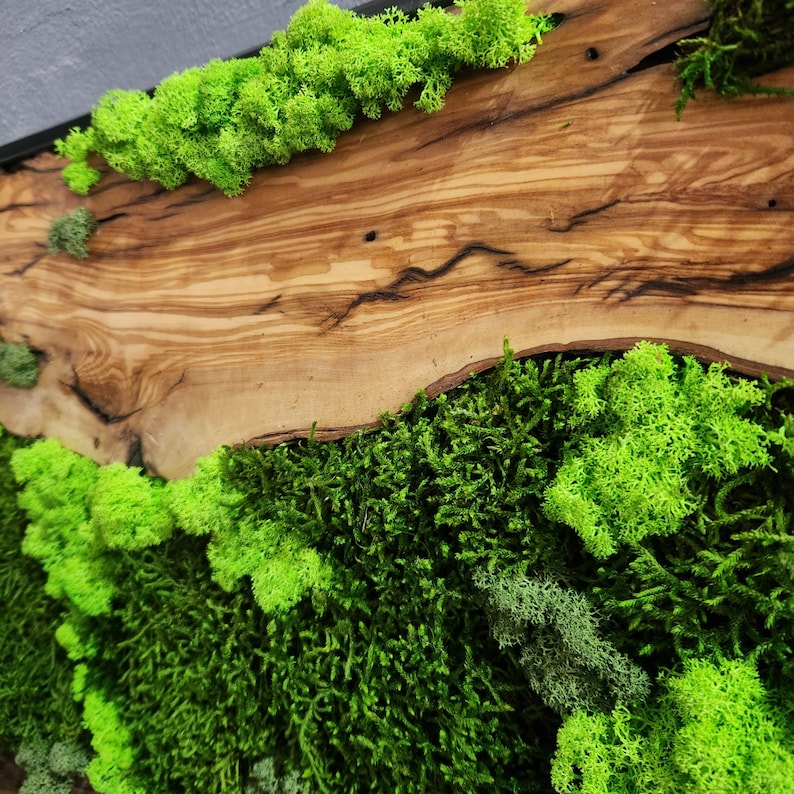Moss & Wood Wall Art, Unique Custom Made Olive Wood And Moss Wall Decor, Rustic Greenery Decor, Hotel Lobby Wall Art Decor, Home Wall Decor