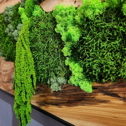 Moss & Wood Wall Art, Unique Custom Made Olive Wood And Moss Wall Decor, Rustic Greenery Decor, Hotel Lobby Wall Art Decor, Home Wall Decor