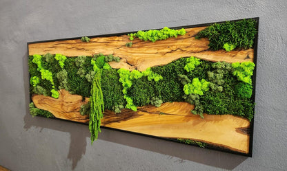 Moss & Wood Wall Art, Unique Custom Made Olive Wood And Moss Wall Decor, Rustic Greenery Decor, Hotel Lobby Wall Art Decor, Home Wall Decor