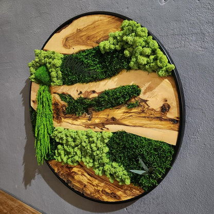 Moss and Olive Wood Wall Art, Custom Made Metal Frame Moss Wall Decor, Olive Wood and Moss Wall Art- Preserved Stabilized Moss Wall Decor