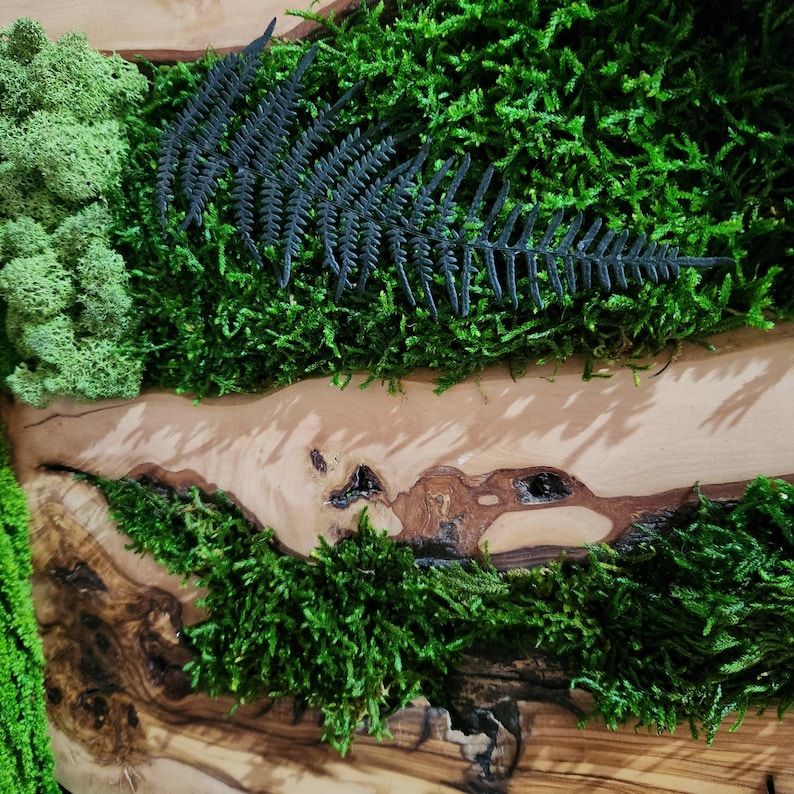 Moss and Olive Wood Wall Art, Custom Made Metal Frame Moss Wall Decor, Olive Wood and Moss Wall Art- Preserved Stabilized Moss Wall Decor