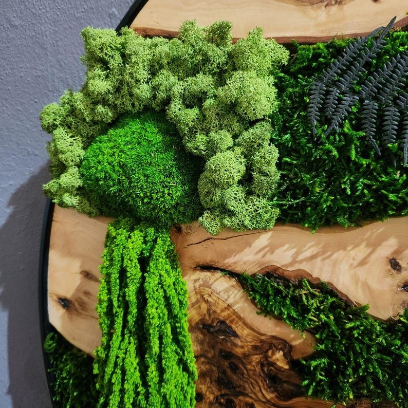 Moss and Olive Wood Wall Art, Custom Made Metal Frame Moss Wall Decor, Olive Wood and Moss Wall Art- Preserved Stabilized Moss Wall Decor