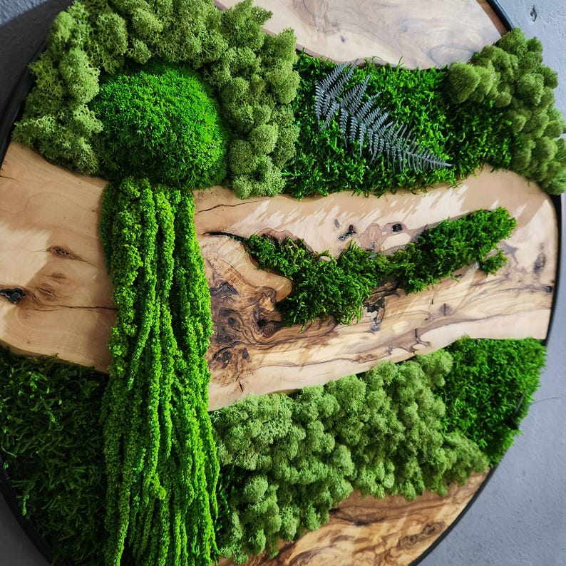 Moss and Olive Wood Wall Art, Custom Made Metal Frame Moss Wall Decor, Olive Wood and Moss Wall Art- Preserved Stabilized Moss Wall Decor
