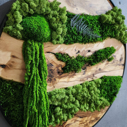 Moss and Olive Wood Wall Art, Custom Made Metal Frame Moss Wall Decor, Olive Wood and Moss Wall Art- Preserved Stabilized Moss Wall Decor