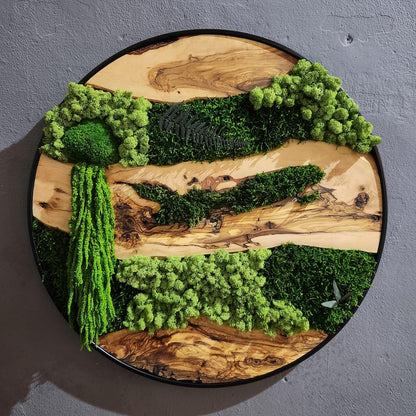Moss and Olive Wood Wall Art, Custom Made Metal Frame Moss Wall Decor, Olive Wood and Moss Wall Art- Preserved Stabilized Moss Wall Decor