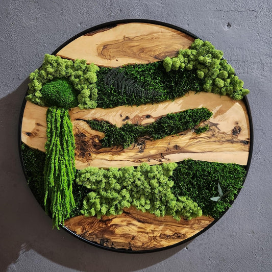 Moss and Olive Wood Wall Art, Custom Made Metal Frame Moss Wall Decor, Olive Wood and Moss Wall Art- Preserved Stabilized Moss Wall Decor