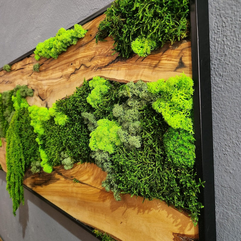 Moss & Wood Wall Art, Unique Custom Made Olive Wood And Moss Wall Decor, Rustic Greenery Decor, Hotel Lobby Wall Art Decor, Home Wall Decor