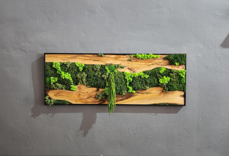Moss & Wood Wall Art, Unique Custom Made Olive Wood And Moss Wall Decor, Rustic Greenery Decor, Hotel Lobby Wall Art Decor, Home Wall Decor