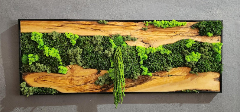 Moss & Wood Wall Art, Unique Custom Made Olive Wood And Moss Wall Decor, Rustic Greenery Decor, Hotel Lobby Wall Art Decor, Home Wall Decor