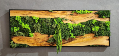 Moss & Wood Wall Art, Unique Custom Made Olive Wood And Moss Wall Decor, Rustic Greenery Decor, Hotel Lobby Wall Art Decor, Home Wall Decor