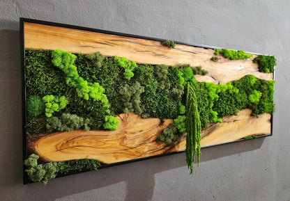 Moss & Wood Wall Art, Unique Custom Made Olive Wood And Moss Wall Decor, Rustic Greenery Decor, Hotel Lobby Wall Art Decor, Home Wall Decor
