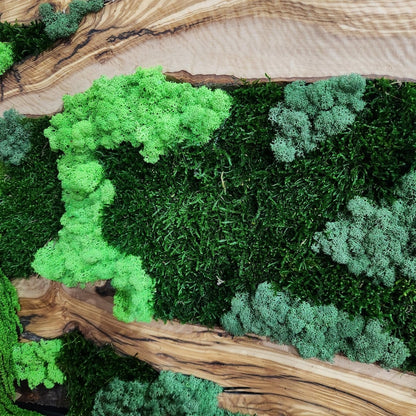 Moss & Wood Wall Art, Unique Custom Made Olive Wood And Moss Wall Decor, Rustic Greenery Decor, Hotel Lobby Wall Art Decor, Home Wall Decor