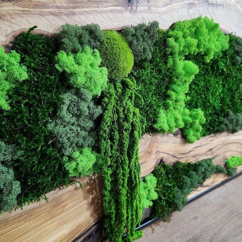 Moss & Wood Wall Art, Unique Custom Made Olive Wood And Moss Wall Decor, Rustic Greenery Decor, Hotel Lobby Wall Art Decor, Home Wall Decor