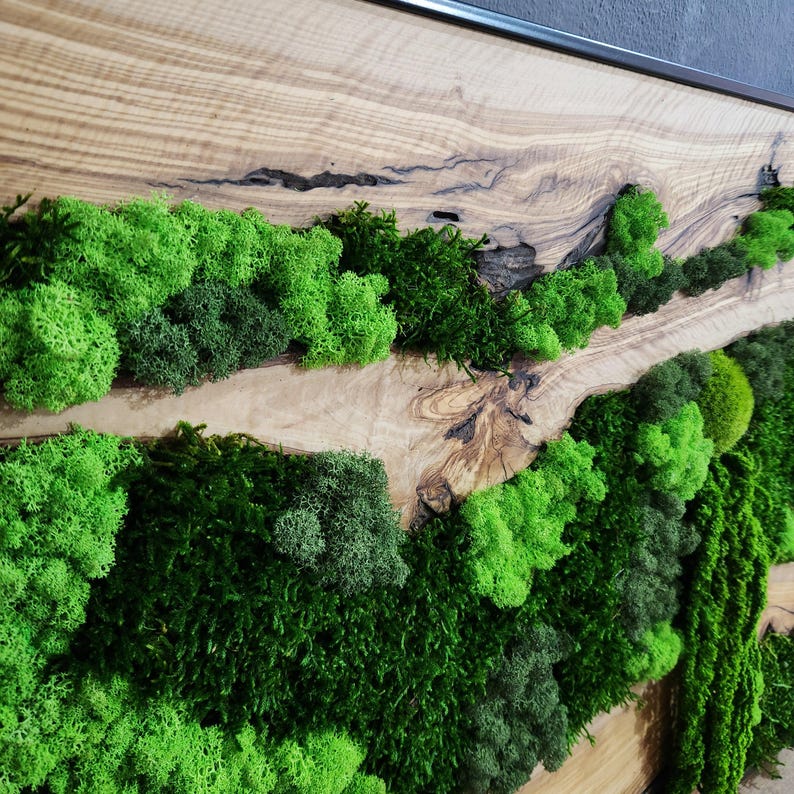 Moss & Wood Wall Art, Unique Custom Made Olive Wood And Moss Wall Decor, Rustic Greenery Decor, Hotel Lobby Wall Art Decor, Home Wall Decor