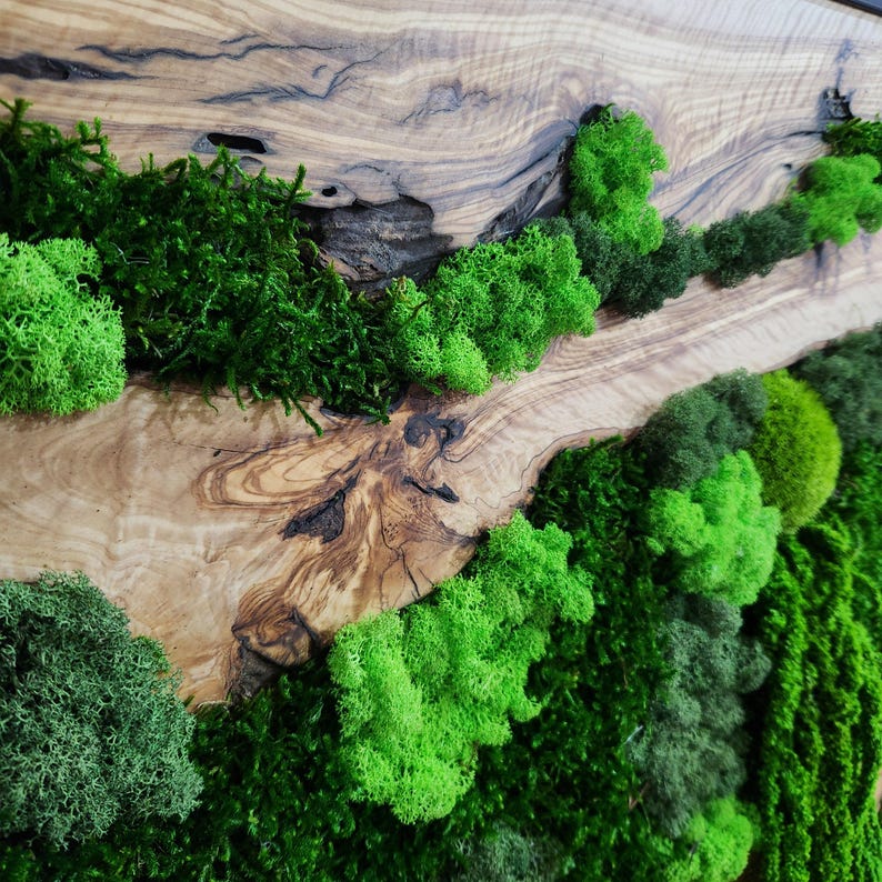 Moss & Wood Wall Art, Unique Custom Made Olive Wood And Moss Wall Decor, Rustic Greenery Decor, Hotel Lobby Wall Art Decor, Home Wall Decor