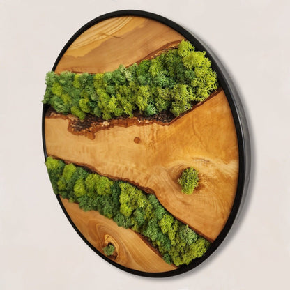 Moss Lines