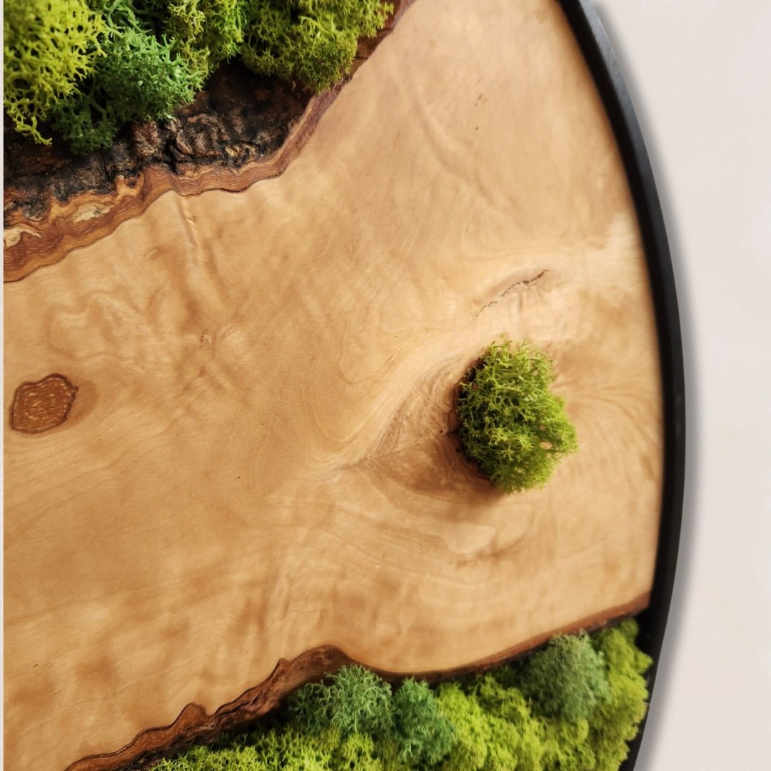 Moss Lines