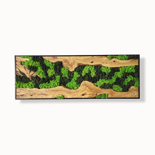 Silent Wilderness