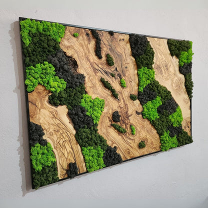 Velvet Terrain